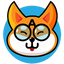 API INU