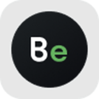 Bloom Energy Tokenized Stock - Reality