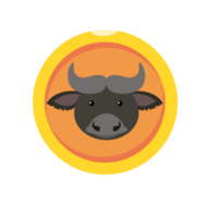 Buffalo