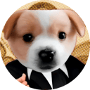 Business Coin