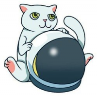 Cat Token