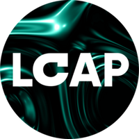 CF Large Cap Index