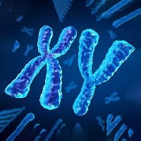 Chromosome