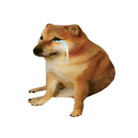 Debt Dog