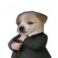 Dog In A Suit