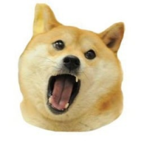 Doge Eat Doge