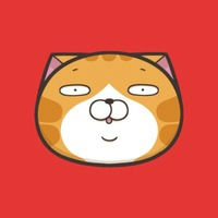 LanLan Cat