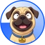 Mr. Puggles