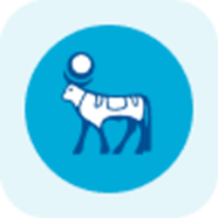 Novo Nordisk Tokenized Stock - Reality