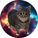 Oia Oia Cat