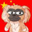 Pekingese Dog