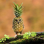 Pineapple Owl