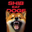 Shibarium