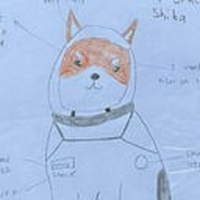 TheSpaceShibaInu
