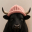 bullwifhat