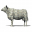 Cash Cow