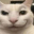catty