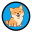 Corgi inu