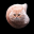 Flying Spinning Cat