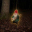 Gnomes