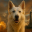 Groks Dog