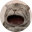maow