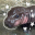 Moo Dang