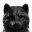 oil inu