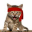 Red Kitten Crew