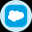 Salesforce Tokenized Stock (Ondo)