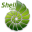 ShellCoin