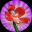 Solitaire Blossom