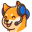 Support Doge