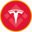 Tesla (bStocks Tokenized Stock)