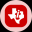 Texas Instruments Tokenized Stock (Ondo)