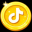 Tiktok Coin
