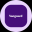 Vanguard Real Estate Tokenized ETF (Ondo)