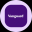 Vanguard Total Stock Market Tokenized ETF (Ondo) 