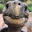WORLDS OLDEST ANIMAL