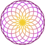Torus