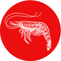 WhaleStreet $hrimp Token