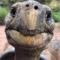 WORLDS OLDEST ANIMAL