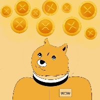 XRP DOGE